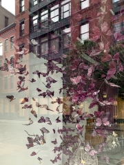 BUTTERFLIES - SOHO - NEW YORK