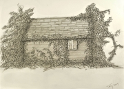 House With Ivy