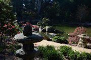 LOTUSLAND - JAPANESE GARDEN