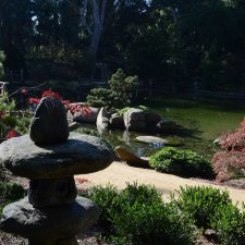 LOTUSLAND - JAPANESE GARDEN
