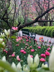 GRAMERCY PARK - NEW YORK