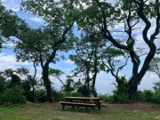PICNIC - LONG ISLAND SOUND