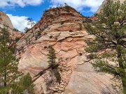 ZION - UTAH
