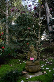 JAPANESE GARDEN - LOTUSLAND - CALIFORNIA